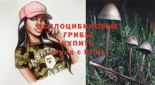 Альфа ПВП Гусев