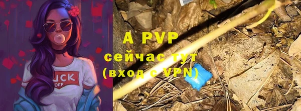 Альфа ПВП Гусев
