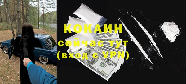 Альфа ПВП Гусев