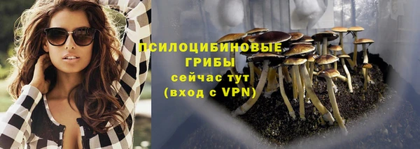 spice Гусь-Хрустальный